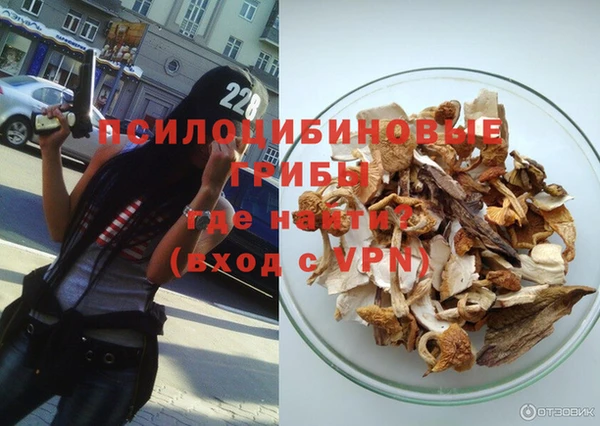 молекула духа Зеленокумск
