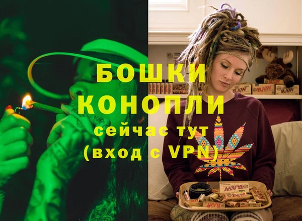 молекула духа Зеленокумск
