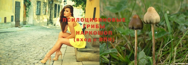МДПВ Зерноград