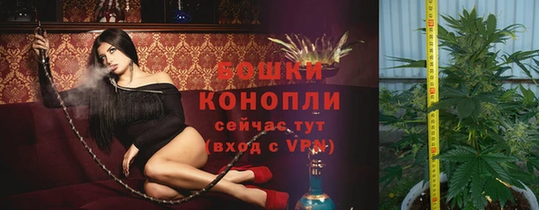 молекула духа Зеленокумск