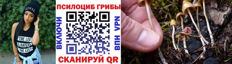 Купить где  Бологое  Галлюциногенные грибы мухоморы 